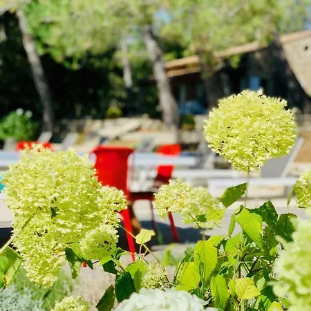 Zen Et Chic, Juste A Cote De La Bastide De Marie * Menerbes